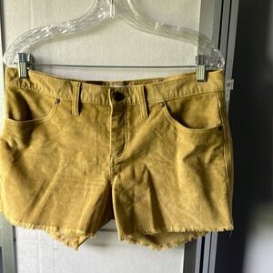 Carve Designs Women's Oahu Shorts 6" inseam